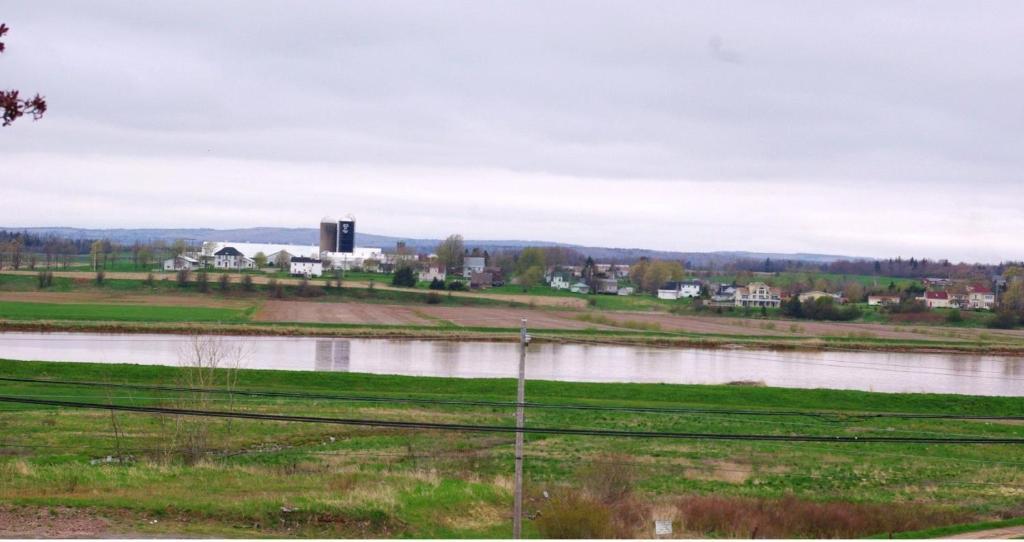 Tidal Bore Inn トゥルーロ エクステリア 写真